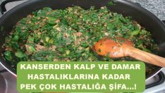 Ispanağın faydaları saymakla bitmiyor!