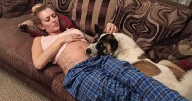 Köpek Sahibinin Karnına Bakıp Havlamaya Başladı – Kadın Hastaneye Gidince Şok Oldu