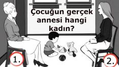 Tek Cevaplık Harika Bir Bulmaca: Mantık İnsanı mısınız? Duygu İnsanı mı?