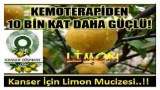 Kansere Karşı  Kemoterapiden On Bin  Kat Daha Güçlü Mucizevi Limon