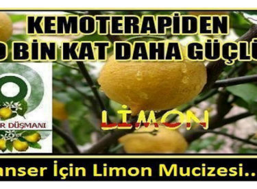Kansere Karşı Kemoterapiden On Bin Kat Daha Güçlü Mucizevi Limon