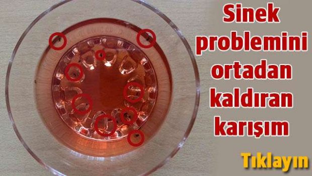 Bir gecede içinde ölü sinek kaynadığını göreceksiniz…