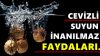 Cevizli Suyun İnanılmaz Faydaları