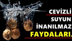 Cevizli Suyun İnanılmaz Faydaları