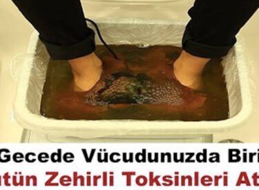 Vücudunuzdan Zehri Atmanın En Pratik Ve Kolay Yolu… Bir Gecede Vücudunuzdan Bütün Zehri Atın!