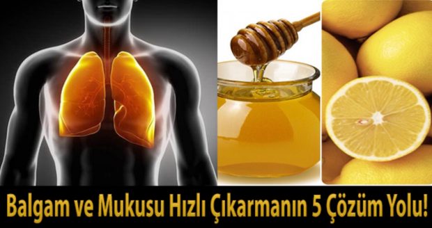 Balgam ve Mukusu Hızlı Çıkarmanın 5 Çözüm Yolu !