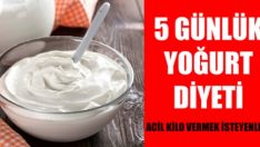 Acil Kilo Vermek İçin 5 Günlük Yoğurt Diyeti