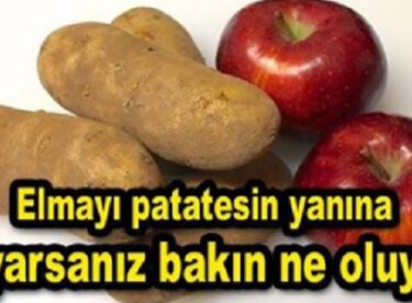 Patatesin yanına elma koyduğunuzda bakın ne oluyor?