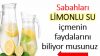 Sabahları İçtiğiniz Limonlu Su Bakın Vücudunuza Neler Yapıyor