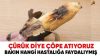 Çürük Diye Çöpe Atıyoruz