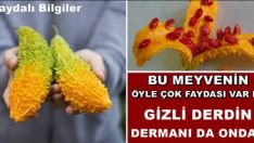 Bu Meyvenin Öyle Çok Faydası Var ki Gizli Derdin Dermanı da Onda..