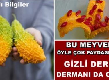 Bu Meyvenin Öyle Çok Faydası Var ki Gizli Derdin Dermanı da Onda..