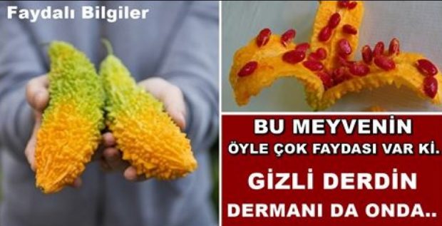Bu Meyvenin Öyle Çok Faydası Var ki Gizli Derdin Dermanı da Onda..