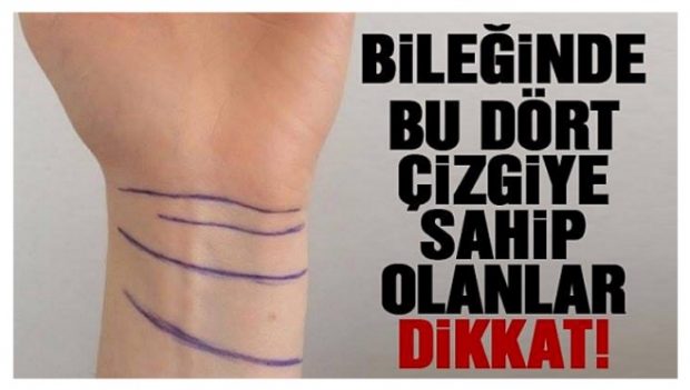 Bileğinizdeki Bu Çizgiler Bakın Ne Manaya Geliyor