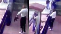 Verdiği karar hakimin de içine sinmedi… Kediyi öldüren cani ne ceza aldı dersiniz