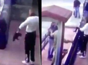 Verdiği karar hakimin de içine sinmedi… Kediyi öldüren cani ne ceza aldı dersiniz