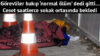 Hastaneden taburcu oldu, 400 metre ileride düşüp öldü!