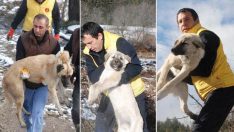 Günlerdir enkaz başından ayrılmıyorlar! Bugün harekete geçildi…