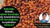 Doğadaki tek Omega 7 kaynağı! Asırlardır yara ve iltihapların tedavisinde kullanılıyor. Daha sayısız şifası var…