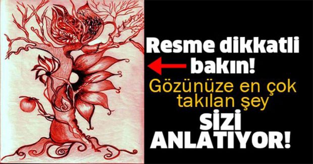 Resme Dikkatli Bakın! İlginç Bir Test!