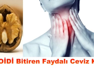 TİROİDİ Bitiren Faydalı Ceviz Kürü