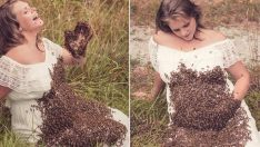 Hamile Kadın Arılarla Fotoğraf Çektirdi – Doğumdan 6 Gün Önce Acı Haberi Aldı