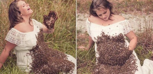 Hamile Kadın Arılarla Fotoğraf Çektirdi – Doğumdan 6 Gün Önce Acı Haberi Aldı
