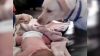 Uyuyan Bebeğe Yaklaşıp Öyle Bir Şey Yaptı Ki Herkes Şimdi Köpeği Konuşuyor