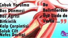 Hemoglobin (Kırmızı Kan Hücreleri) Seviyenizi Tavan Yaptıracak 10 Besin