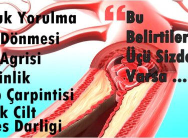 Hemoglobin (Kırmızı Kan Hücreleri) Seviyenizi Tavan Yaptıracak 10 Besin