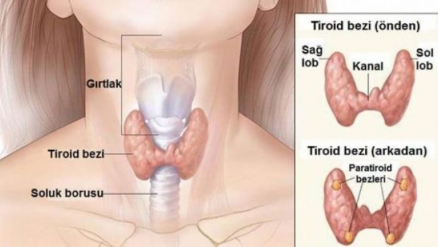 Kilo alma, Baş ağrısı, Uykusuzluk, Saç dökülmesi, Kuru cilt, yorgunluk, Kas ağrısı, İdrar yolu enfeksiyonu yaşıyorsanız…