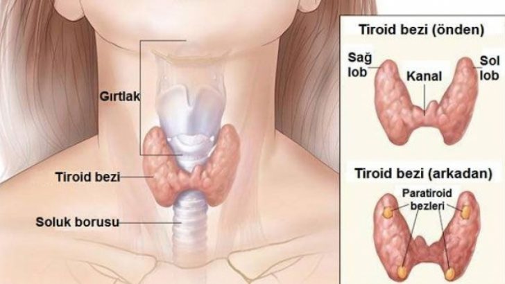 Kilo Alma Bas Agrisi Uykusuzluk Sac Dokulmesi Kuru Cilt Yorgunluk Kas Agrisi Idrar Yolu Enfeksiyonu Yasiyorsaniz Kadinlar Sitesi