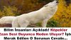 Nedeni belli oldu! Bilim insanları açıkladı! Köpekler ezan sesi duyunca neden uluyor? İşte merak edilen o sorunun cevabı…