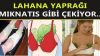 Vücudunuza lahana sarın Neden mi! Bu bilgileri öğrendikten sonra evinizden lahanayı eksik etmeyeceksiniz.