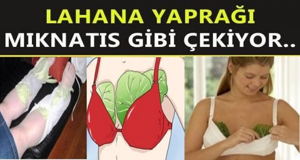 Vücudunuza lahana sarın Neden mi! Bu bilgileri öğrendikten sonra evinizden lahanayı eksik etmeyeceksiniz.