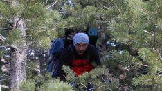 Avlayacağı keçi ağlayınca hayatı değişti