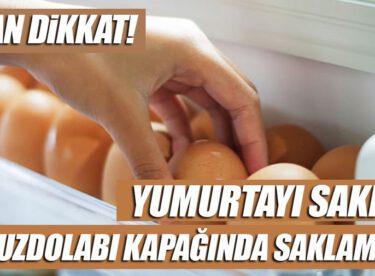 Yumurtaları buzdolabı kapağına sakın koymayın!