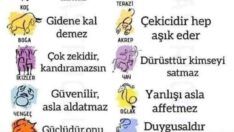 Tek kelime ile burçlar