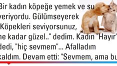 Sevmezsen Sevme!