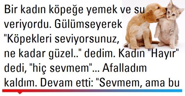 Sevmezsen Sevme!