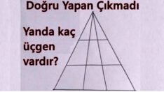 Bu Görsel  Zeka Sorusunu Doğru Yapan Çıkmadı Bakalım Sen Yapabilecek misin?