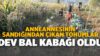 Anneannesinin Sandığından Çıkan Tohumlar Dev Bal Kabağı Oldu