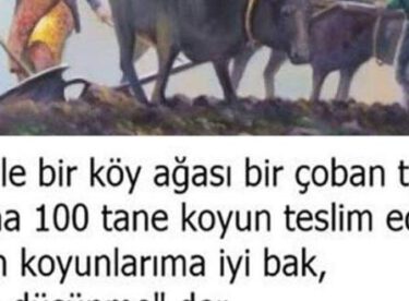 Çoban ve Köy Ağası