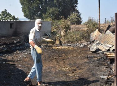 Hayvanların kurtarmak için alevlerin arasına daldı