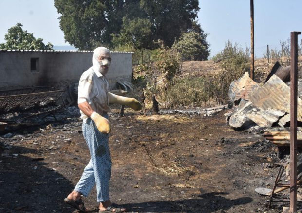 Hayvanların kurtarmak için alevlerin arasına daldı